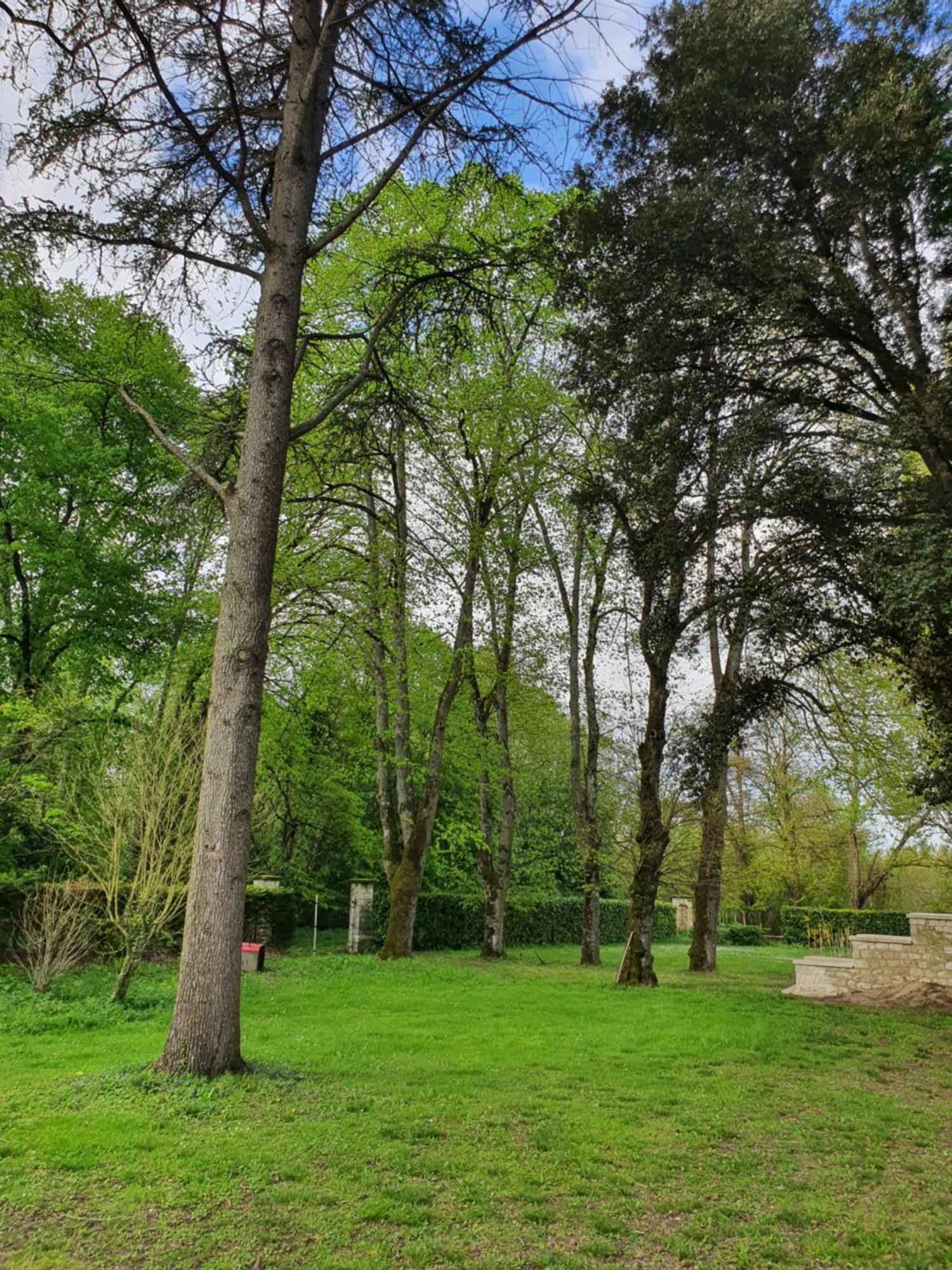 La Marceline Villa Saint-Aignan  Luaran gambar